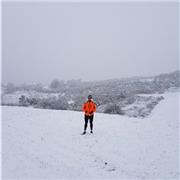 studente di ingegneria meccanica, offro lezioni algebra e matematica